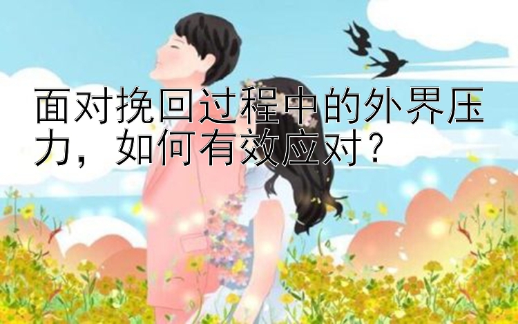 面对挽回过程中的外界压力，如何有效应对？