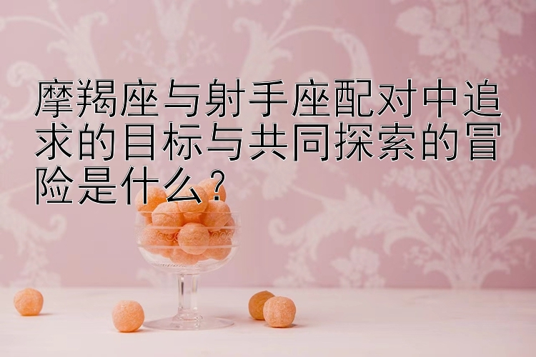 摩羯座与射手座配对中追求的目标与共同探索的冒险是什么？