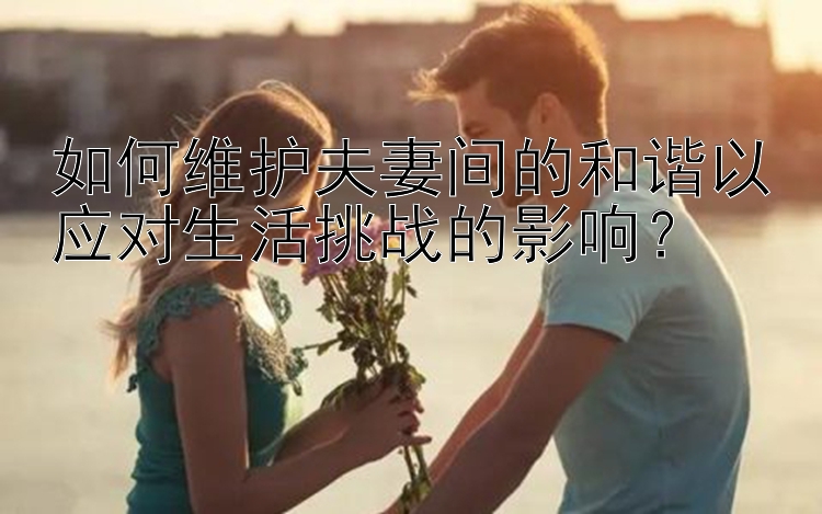 如何维护夫妻间的和谐以应对生活挑战的影响？