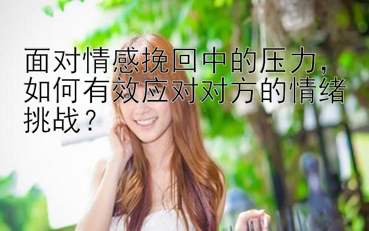 面对情感挽回中的压力，如何有效应对对方的情绪挑战？