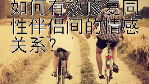 如何有效修复同性伴侣间的情感关系？