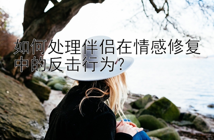 如何处理伴侣在情感修复中的反击行为？