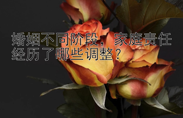 婚姻不同阶段，家庭责任经历了哪些调整？