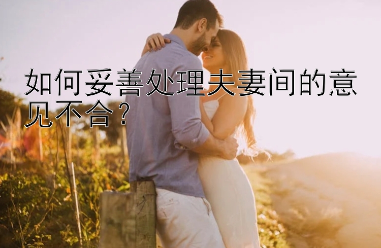 如何妥善处理夫妻间的意见不合？