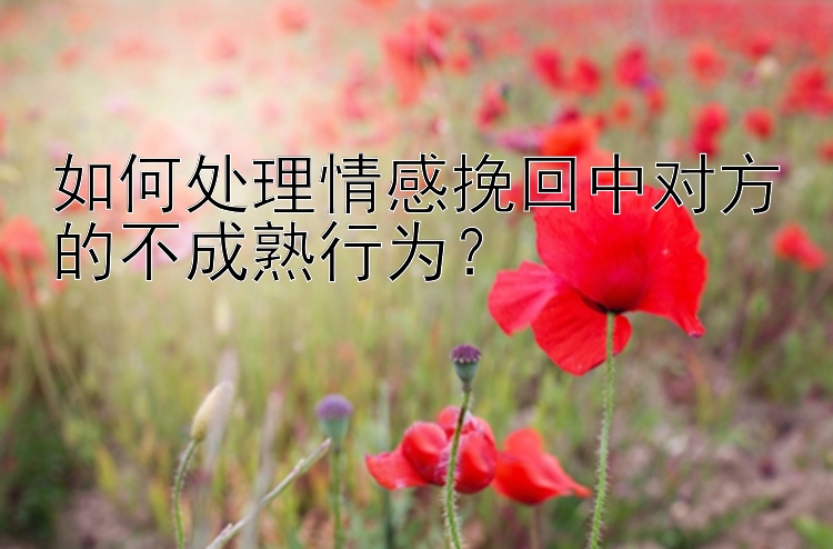 如何处理情感挽回中对方的不成熟行为？