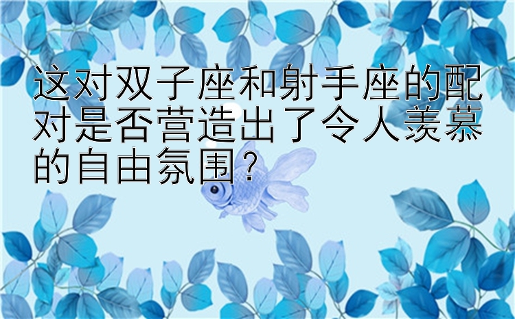 这对双子座和射手座的配对是否营造出了令人羡慕的自由氛围？