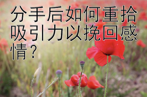 分手后如何重拾吸引力以挽回感情？