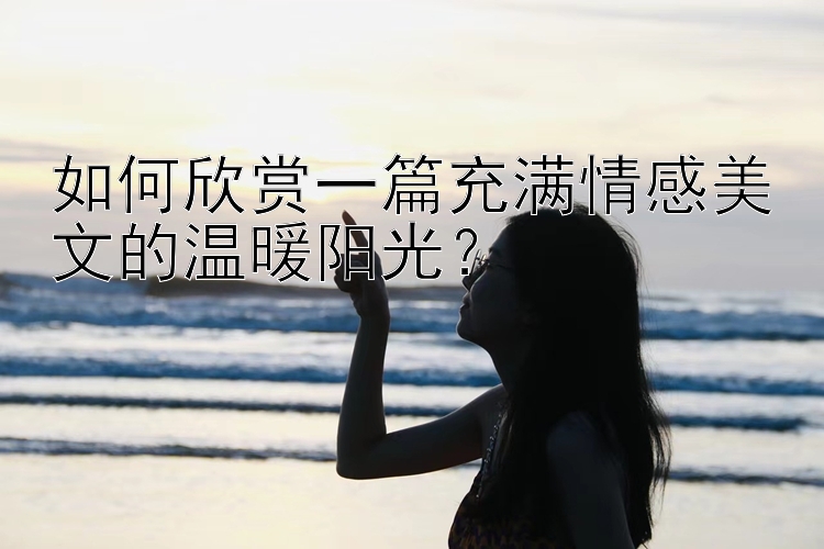 如何欣赏一篇充满情感美文的温暖阳光？