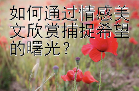 如何通过情感美文欣赏捕捉希望的曙光？