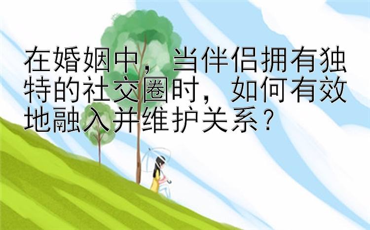 在婚姻中，当伴侣拥有独特的社交圈时，如何有效地融入并维护关系？