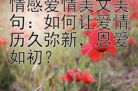 情感爱情美文美句：如何让爱情历久弥新，恩爱如初？