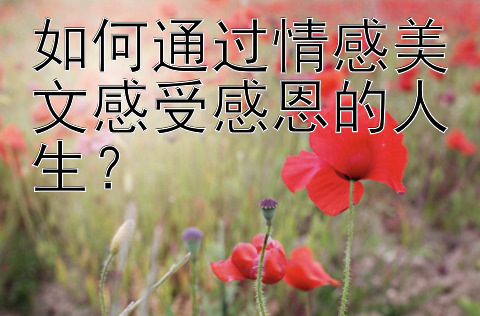 如何通过情感美文感受感恩的人生？