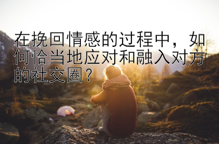 在挽回情感的过程中，如何恰当地应对和融入对方的社交圈？