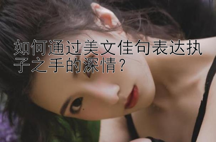 如何通过美文佳句表达执子之手的深情？